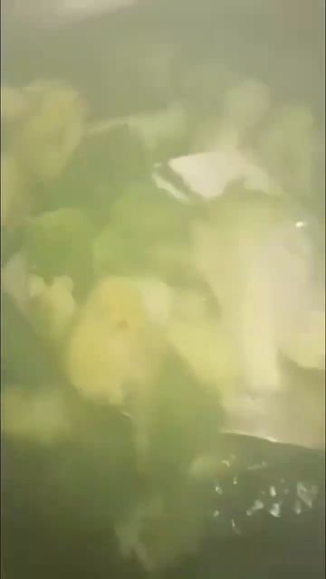 # satisfying blanch brocolli…