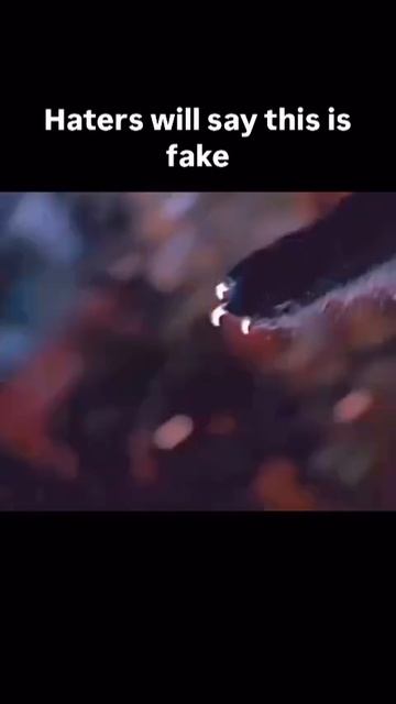 Хейтеры скажут, что это фейк.
