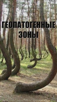 ГЕОПАТОГЕННЫЕ ЗОНЫ #shorts