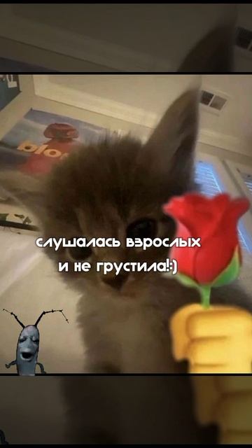 агага