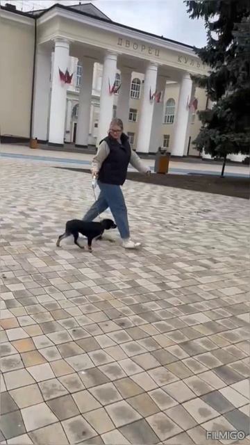 Возраст 4 мес. Комплект прививок с паспортом