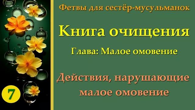 7. Книга Омовения (Действия, нарушающие малое омовение)