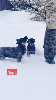 F330BD24-6DB4-4366-9580-165CD5FE9A9E