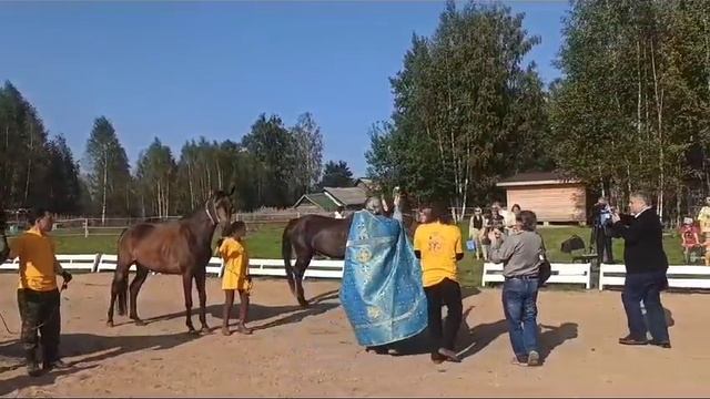 Фролов день на Конном дворе