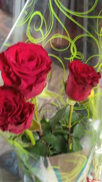 Нежные , яркие, красивые 🌹