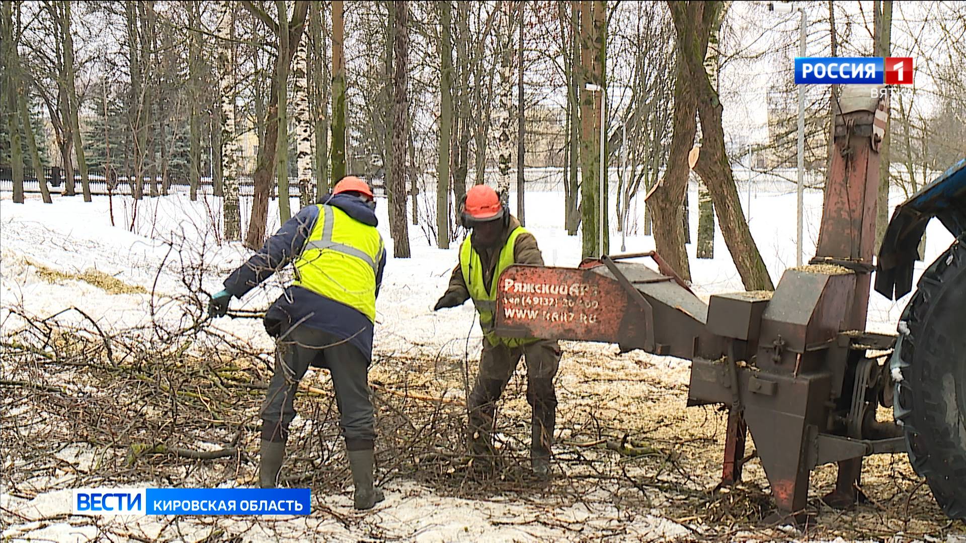 В парке Победы ведутся работы по уборке аварийных деревьев и санитарной обрезке