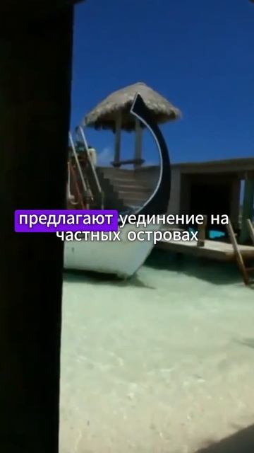 Самый лучший и незабываемый отпуск