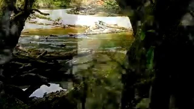 HIKING NEW ZEALAND THE DUSKY TRACK 7 DAY HIKE  HARDEST TRAMPING IN FIORDLAND