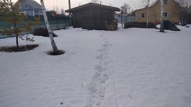 участок март 2025г. 14 число.