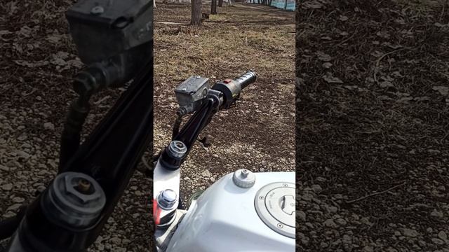 VID_20250314_125054.mp4