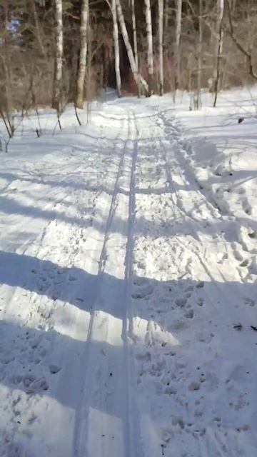 А у нас, как зимой! ❄️ #сибирь #природа