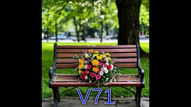 V71 Нету любви