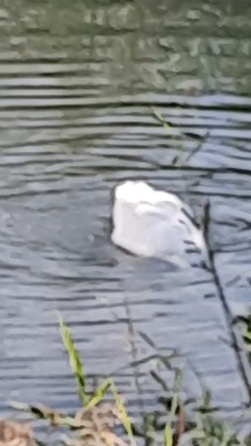 Счастье живет рядом с нами