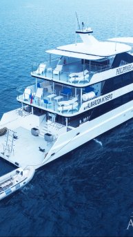 Philippines Aggressor I. Teaser 30 sec #shorts #whaleshark #philippines #travel