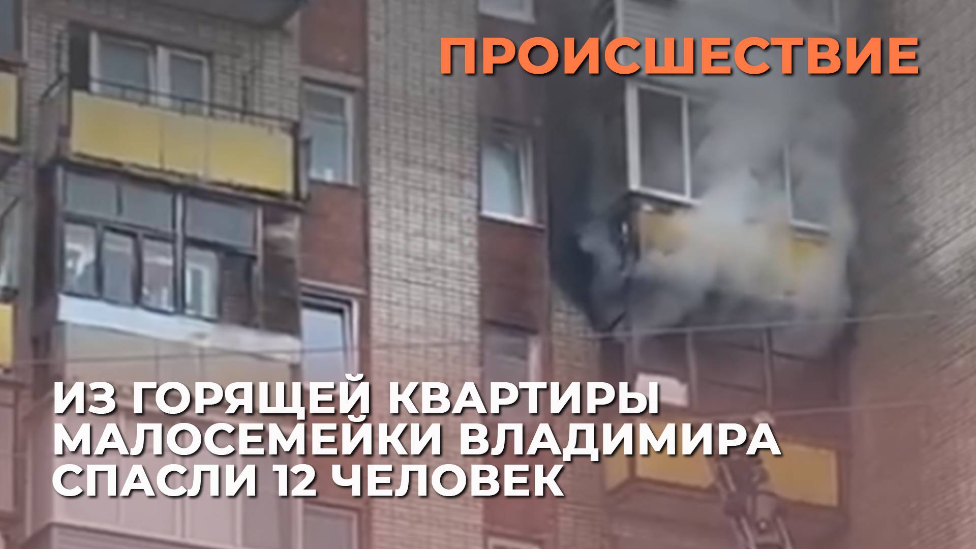 Из горящей квартиры малосемейки Владимира спасли 12 человек