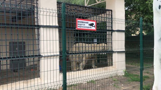 Мишки в клетке