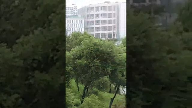🏷LIVE🏷🎵07.23  장마철 비가 연속  온다.🌩🌧☔  강물이  불어서 돌다리가 물에 잠겼다! 🌊🌊🌊