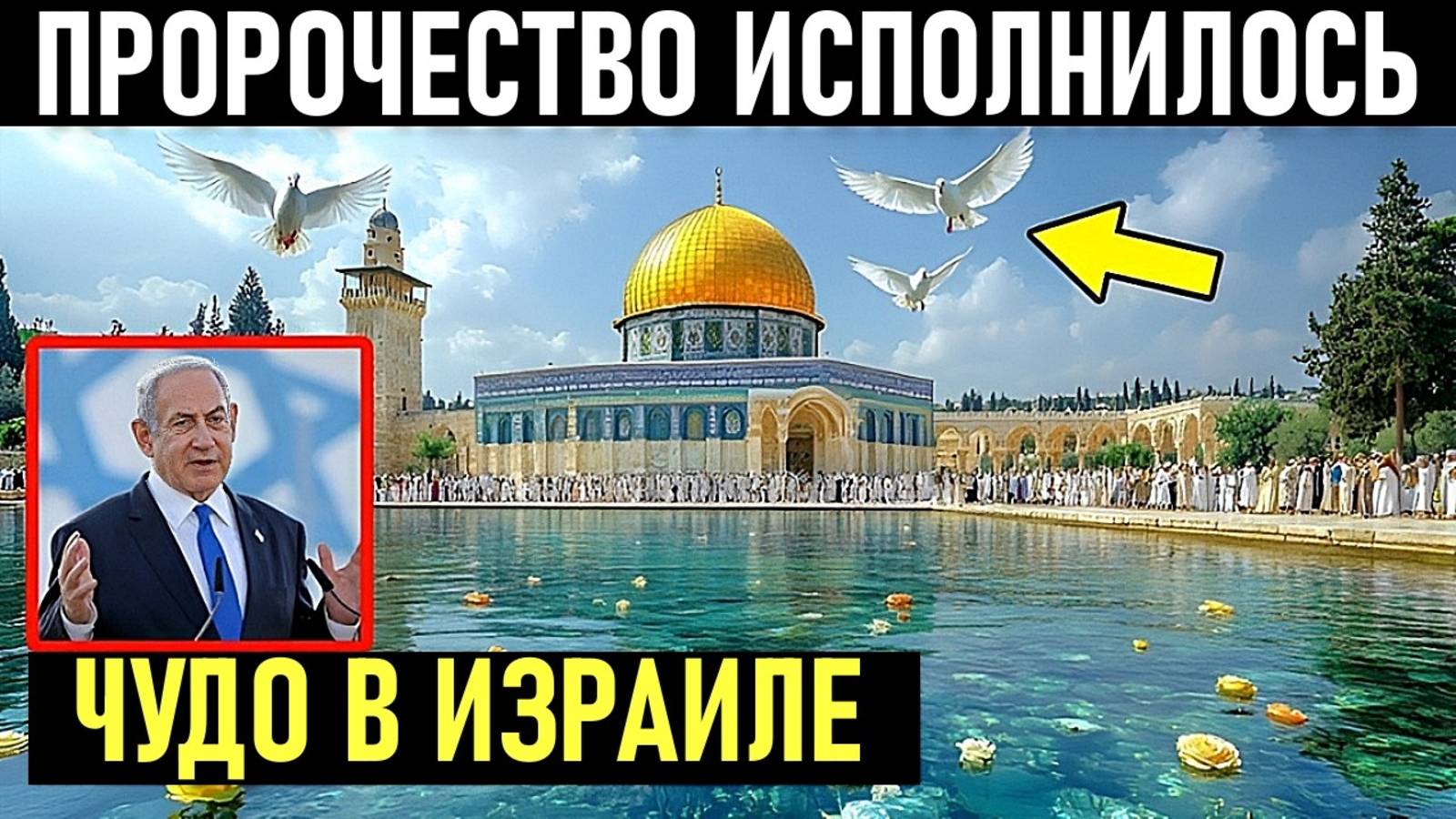 Израиль исполняет ПРОРОЧЕСТВО пророка Исайи - пустыня цветет как НИКОГДА РАНЬШЕ