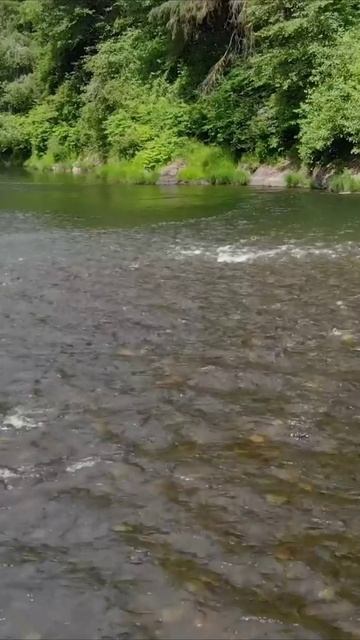 Пейзажи Орегона: Красота, захватывающая дух! 🏞️ Лучшие виды
