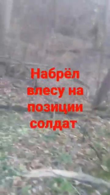 набрёл в лесу на позиции солдат -- коп по войне.