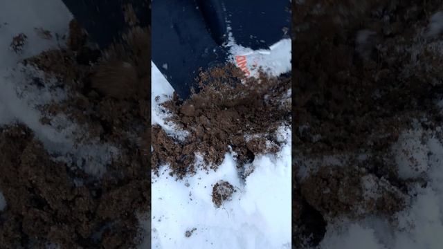 1000002551.mp4