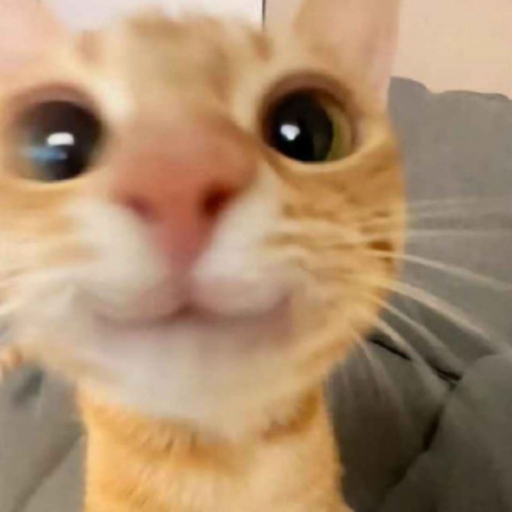 н̷у̷ з̷а̷х̷о̷д̷и̷т -_-