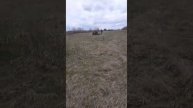 Борьба с контрафактом,ООО Кидалово🤣