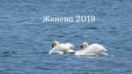 Женева 2019