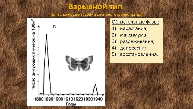 Видео к лекции 6 Типы динамики численности популяций