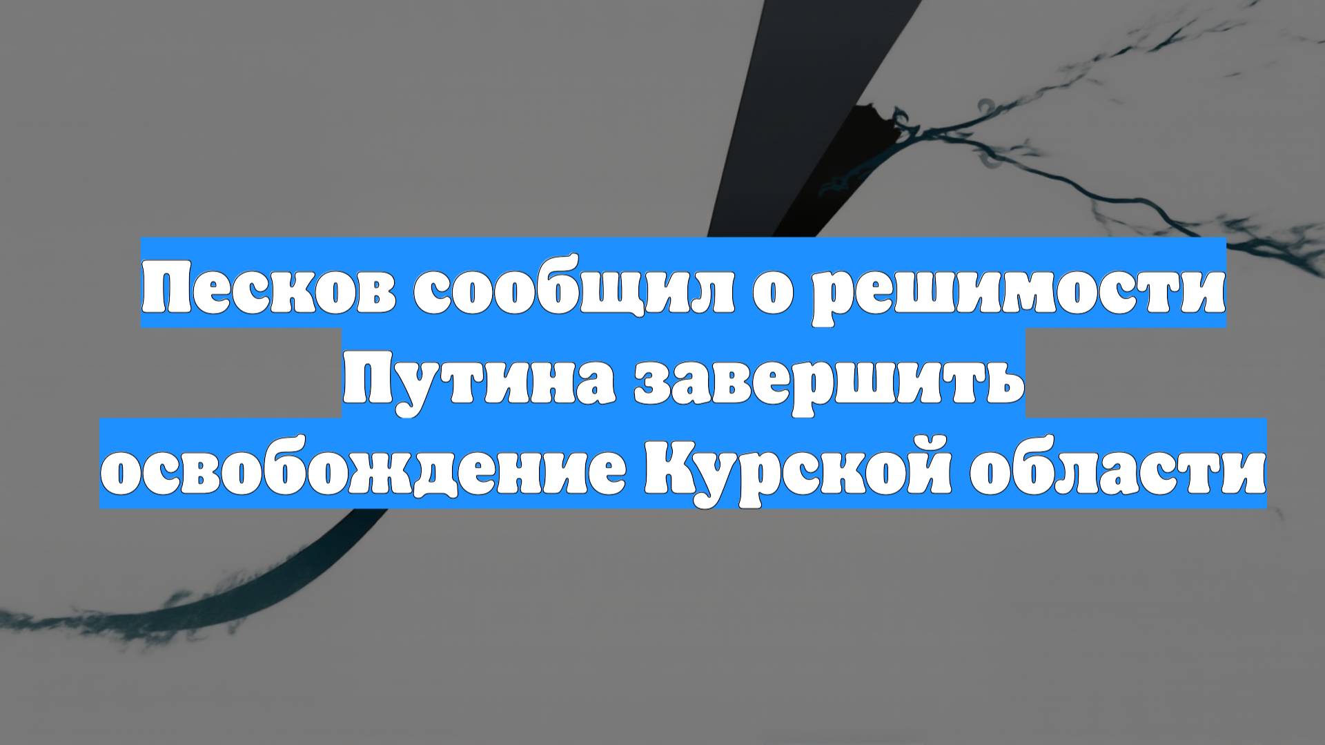 Песков сообщил о решимости Путина завершить освобождение Курской области