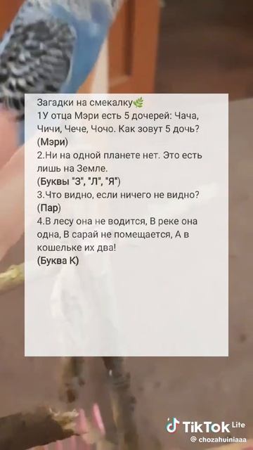 1000007710.mp4