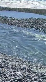 Канализация на побережье чёрного моря