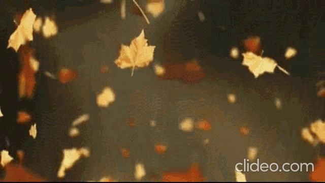 ЧЕМ ОН ЛУЧШЕ МЕНЯ