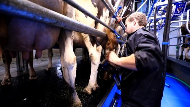 UK farmers talk milking machines and parlour choice