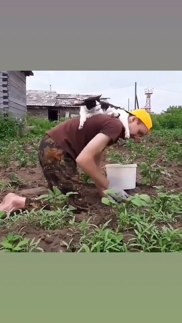 1000076691.mp4
