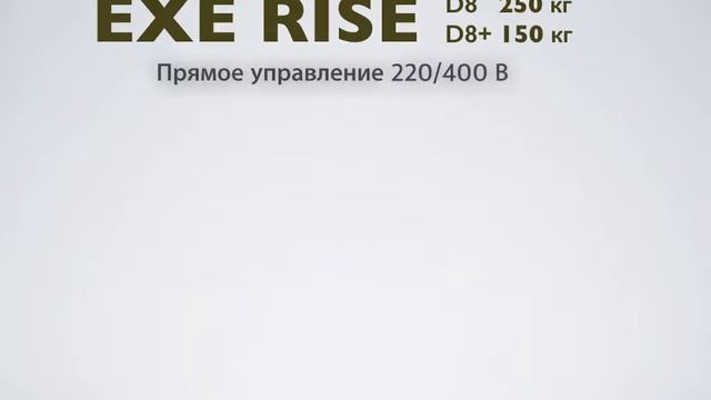 EXE RISE 2017