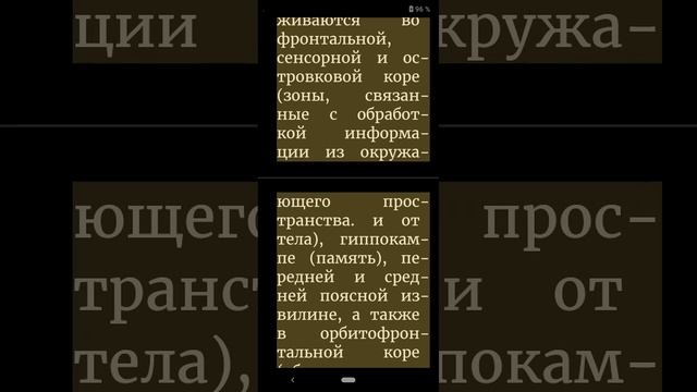 майнфулнерс.mp4