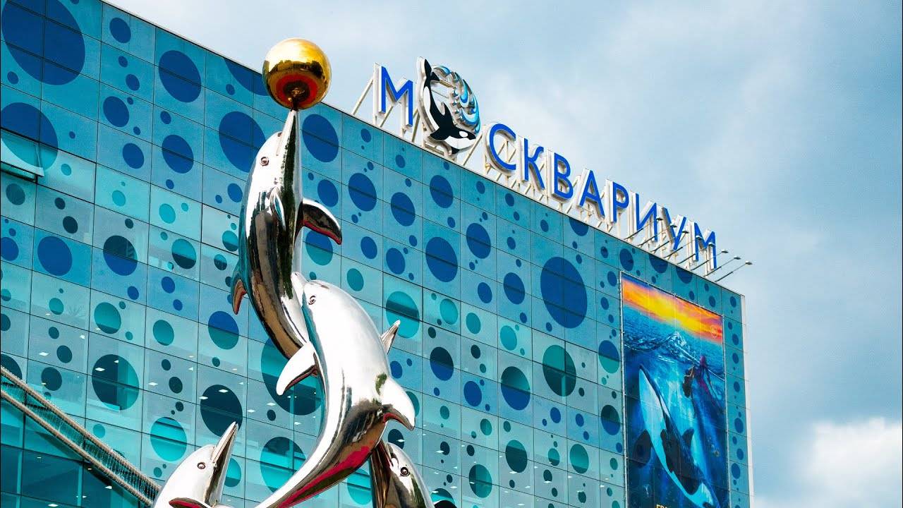 Москвариум| Moskvarium | 2018