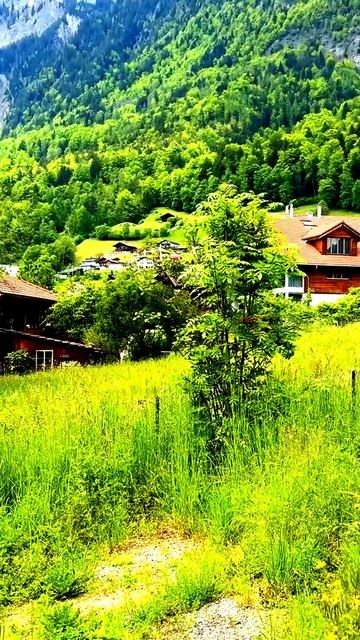 Моменты жизни, запечатленные на камеру