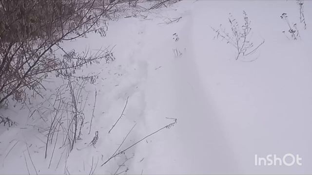 спас трактор! на рыбалку больше не поеду в такую метель!
