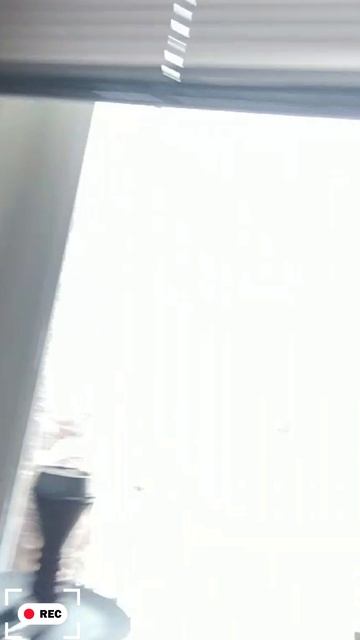 что происходит на улице 0_0