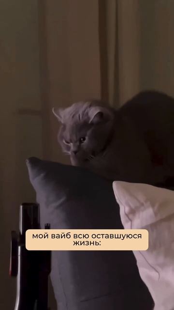 CHRISTINA SIBERIAN- февральский водолей