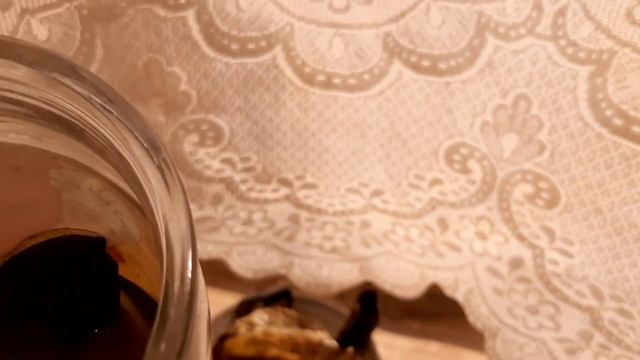 Самая Лучшая Подкормка Для Комнатных Растений