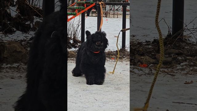 Соцветие Зубр Сëма. ЗКС 09.02.25.mp4