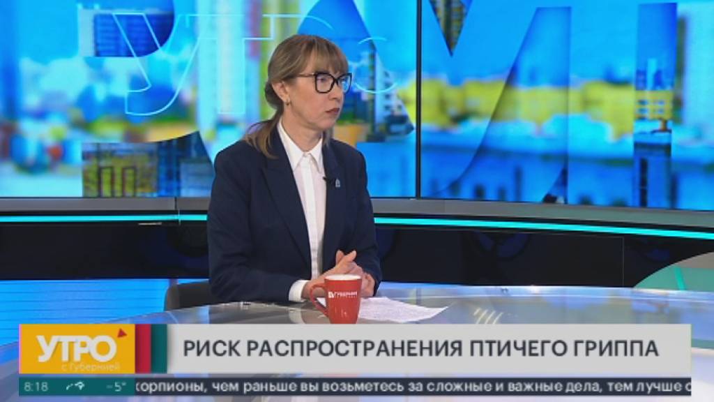 Риск распространения птичего гриппа. Утро с Губернией. 14/03/2025. GuberniaTV