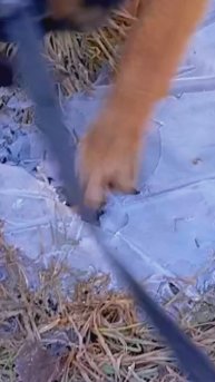 Лукас прогоняет зиму! ❥ Приют в Малинках