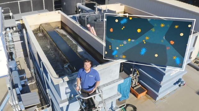 Pure Water Virtual Tour Step 2: Biological Activated Carbon Filters