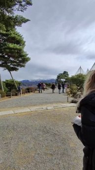 эталонность парка в Японии #shorts #иванчичерин #japan #travel