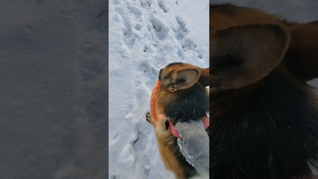 1000269068.mp4