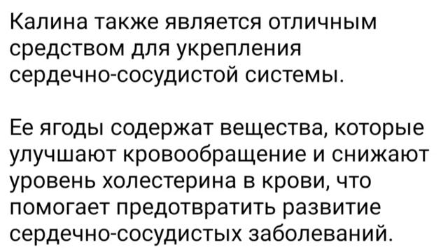 Полезные свойства калины